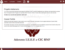 Tablet Screenshot of camen.org